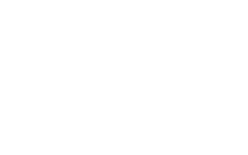 akopt-low-resolution-logo-white-on-transparent-background