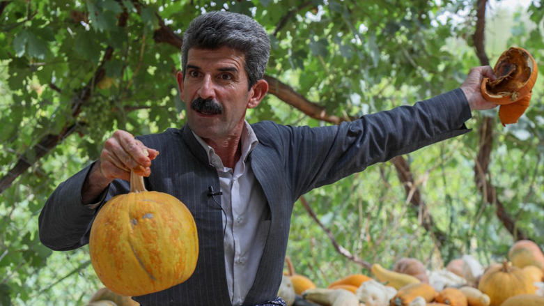 معرفی محصولات کشاورزی برتر کردستان - محصولات ارگانیک کردستان - بازرگانی کشاورزی امیری