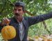 معرفی محصولات کشاورزی برتر کردستان - محصولات ارگانیک کردستان - بازرگانی کشاورزی امیری